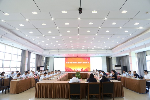 市領導調研銅化集團工作座談會召開