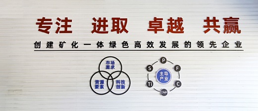 銅化集團確立新時期核心價值觀    文化賦能礦化一體綠色高效發展